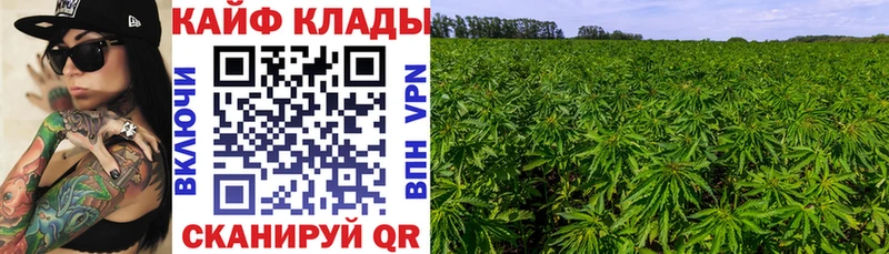 Купить наркоту Всеволожск COCAIN Бошки Шишки АМФЕТАМИН ГАШИШ Бутират Альфа ПВП МЕФ