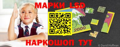 стаф Берёзовский