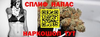 спиды Бийск