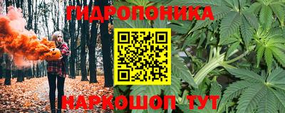 стаф Берёзовский