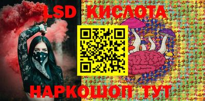 стаф Берёзовский