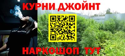стаф Берёзовский