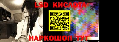 стаф Берёзовский