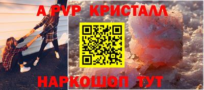 гидра Будённовск