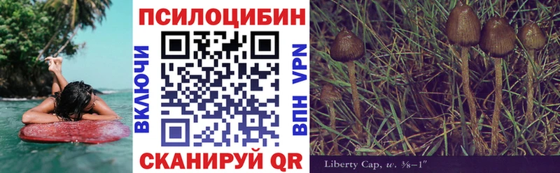 Галлюциногенные грибы ЛСД  Всеволожск 