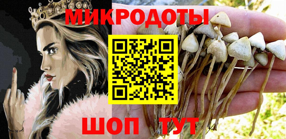 Псилоцибиновые грибы мицелий  Всеволожск 