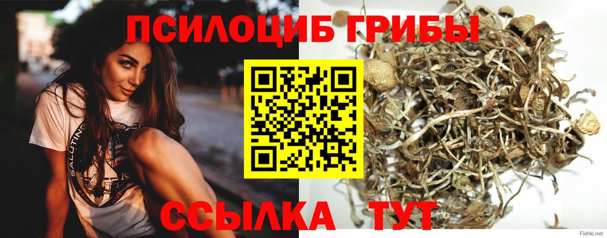 Галлюциногенные грибы мухоморы  Галлюциногенные грибы GOLDEN TEACHER  Вход с VPN  Всеволожск 