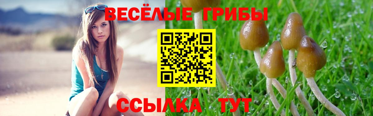 Галлюциногенные грибы мицелий Всеволожск